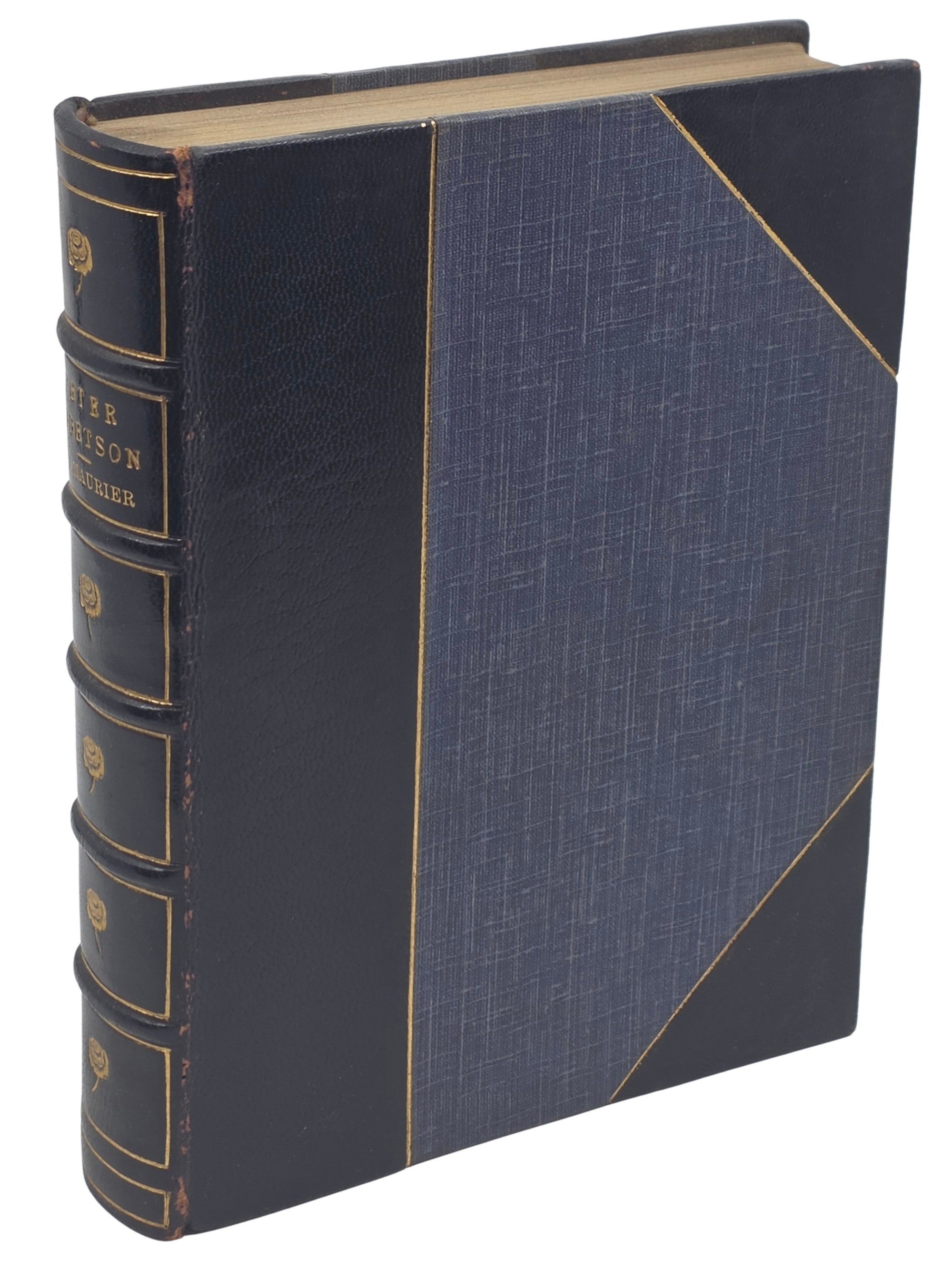 [Book #51376] PETER IBBETSON. George Du Maurier.